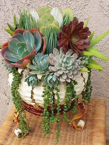 Meet your Posher, Maria